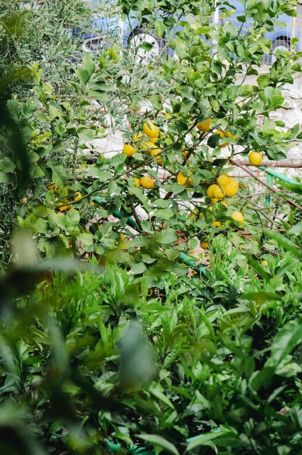 Seferi'S Apartament Apartment Sarande Ngoại thất bức ảnh